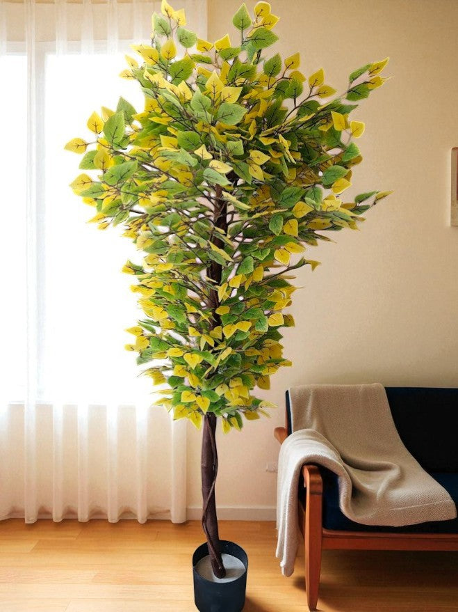 Artificial Silver Birch plant - 200cm with basic black pot