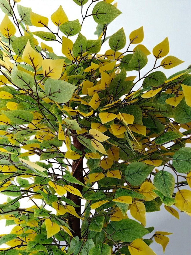 Artificial Silver Birch plant - 200cm with basic black pot