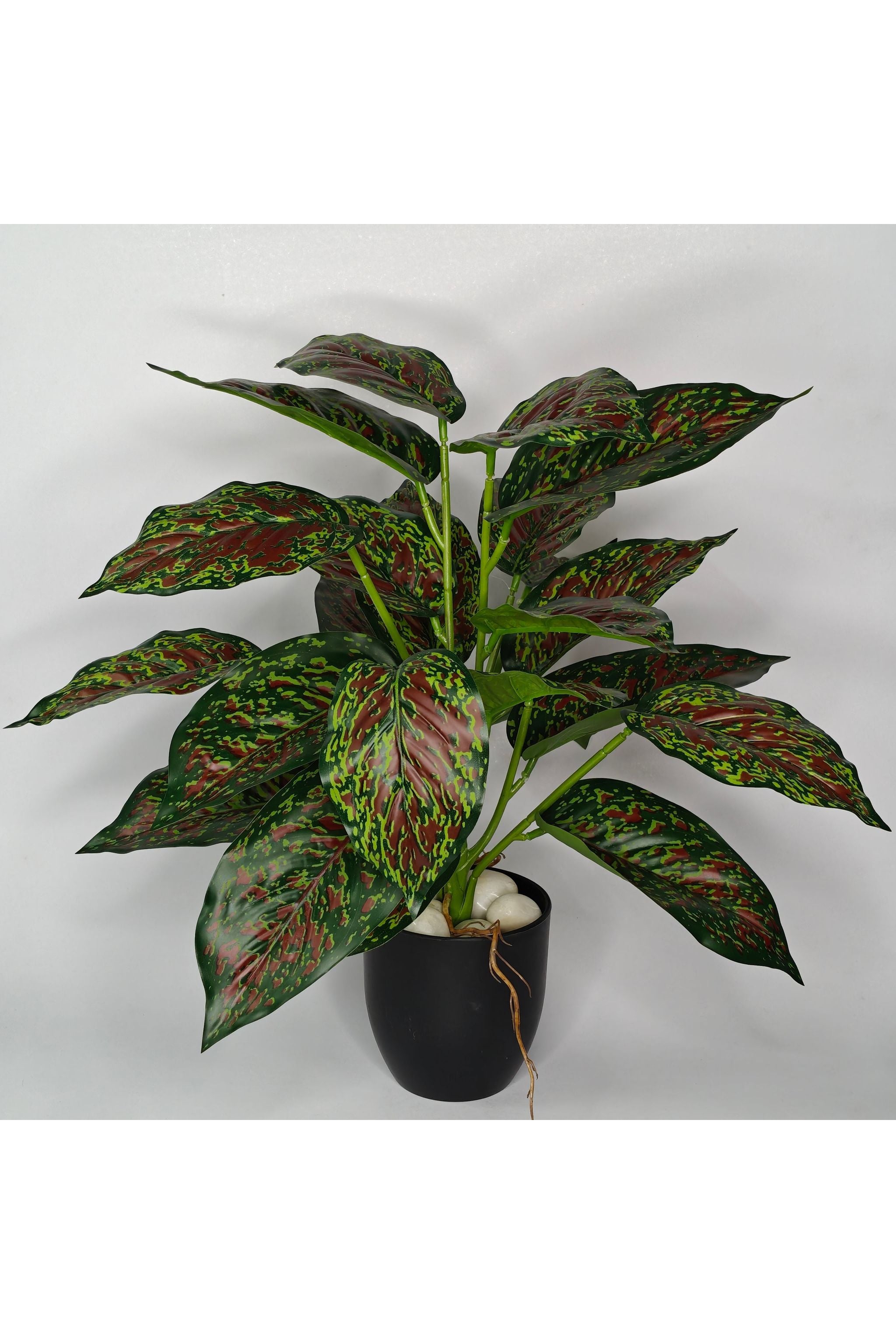 Artificial Aglaonema Plant - 37cm with basic black pot