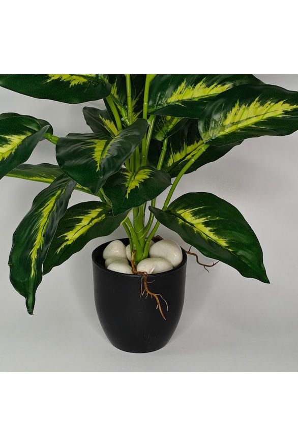 Artificial Dieffenbachia Plant - 37cm with basic black pot