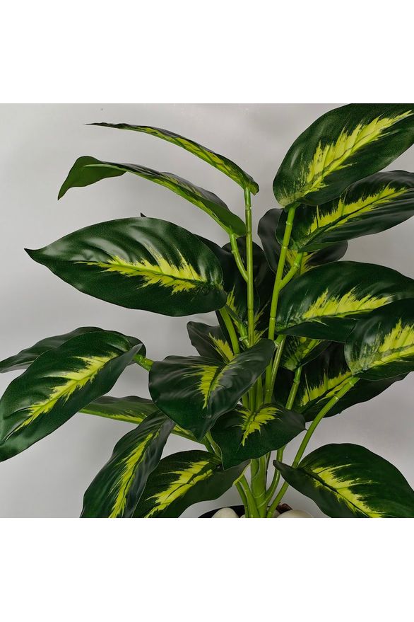 Artificial Dieffenbachia Plant - 37cm with basic black pot