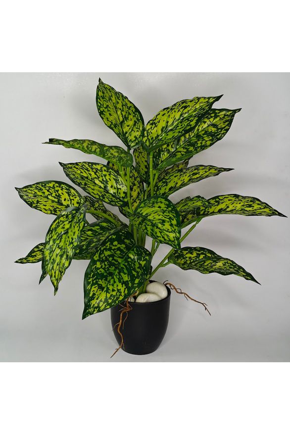 Artificial Aglaonema Plant - 37cm with basic black pot
