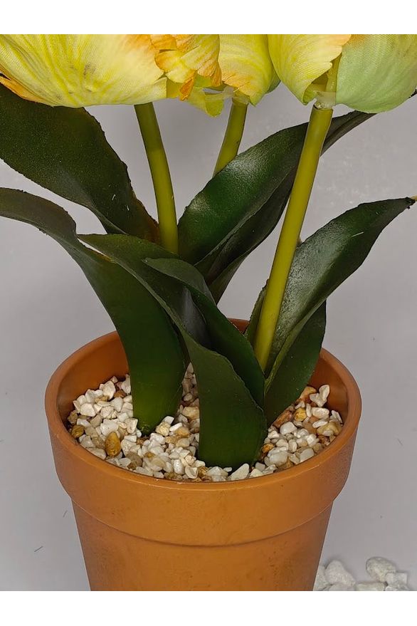 Artificial Tulip Flower Plant - 25cm with pot
