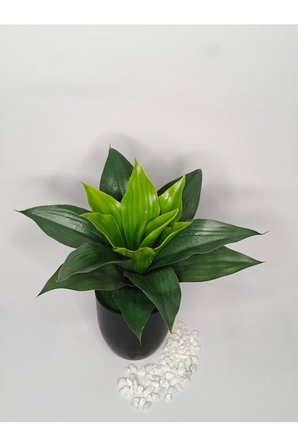 Artificial Agave Plant - 27cm with pot