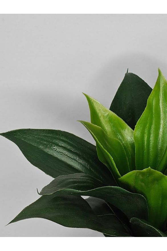 Artificial Agave Plant - 27cm with pot