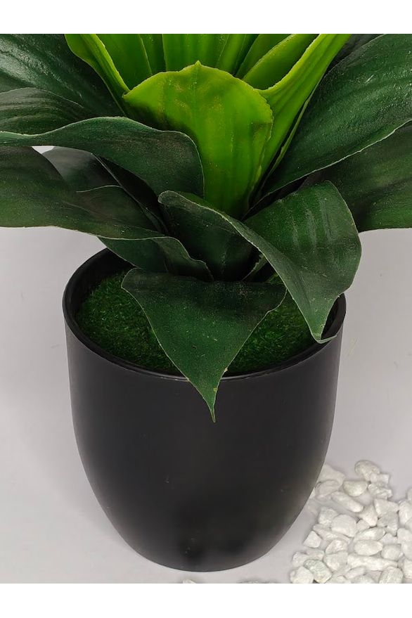 Artificial Agave Plant - 27cm with pot
