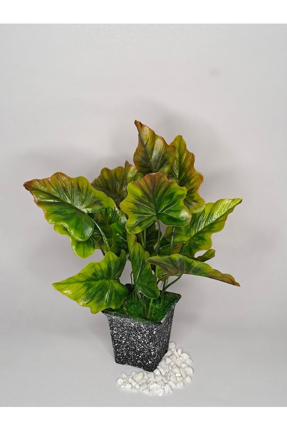 Artificial  Small Alocasia Plant - 27cm with pot