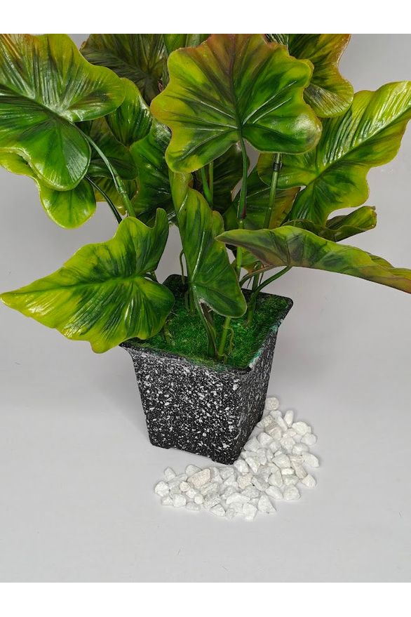 Artificial  Small Alocasia Plant - 27cm with pot