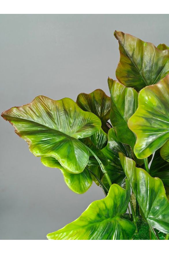 Artificial  Small Alocasia Plant - 27cm with pot
