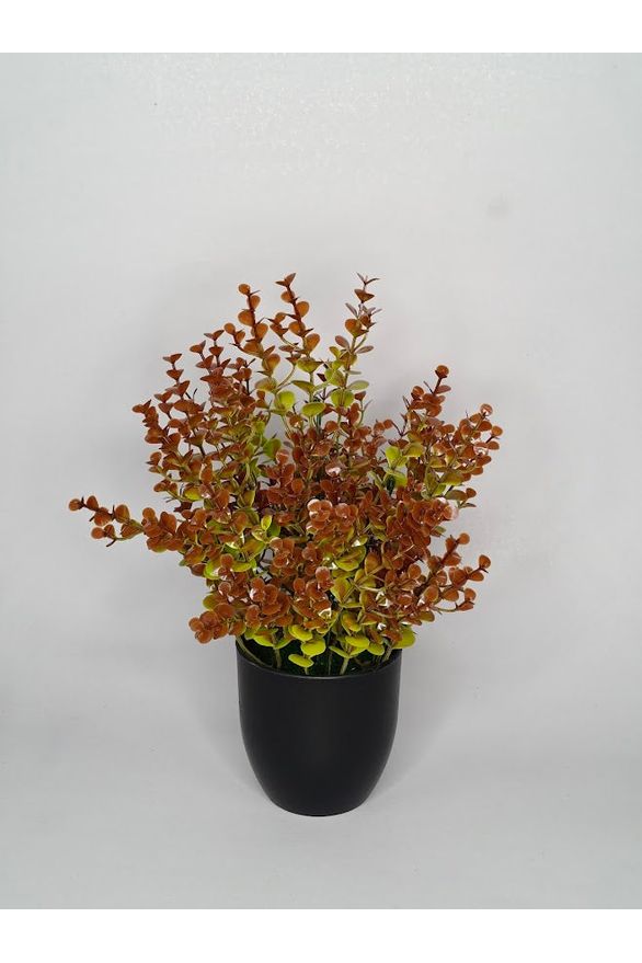 Artificial Eucalyptus Plant - 30cm with pot
