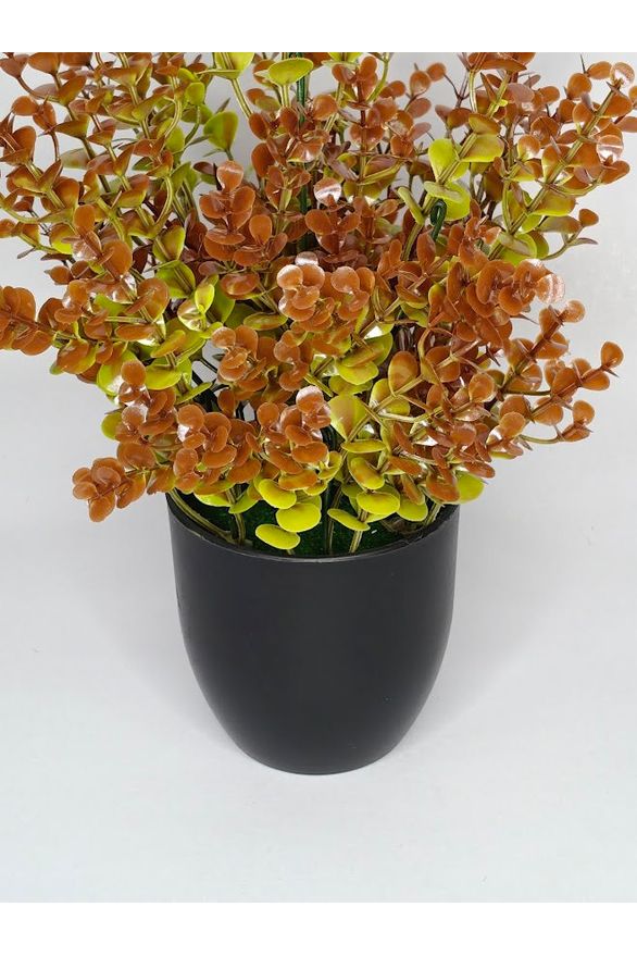 Artificial Eucalyptus Plant - 30cm with pot