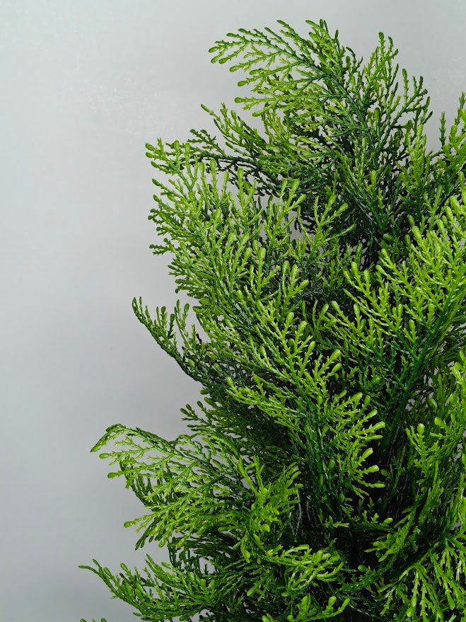 Artificial Cedar Plant - 50cm with pot