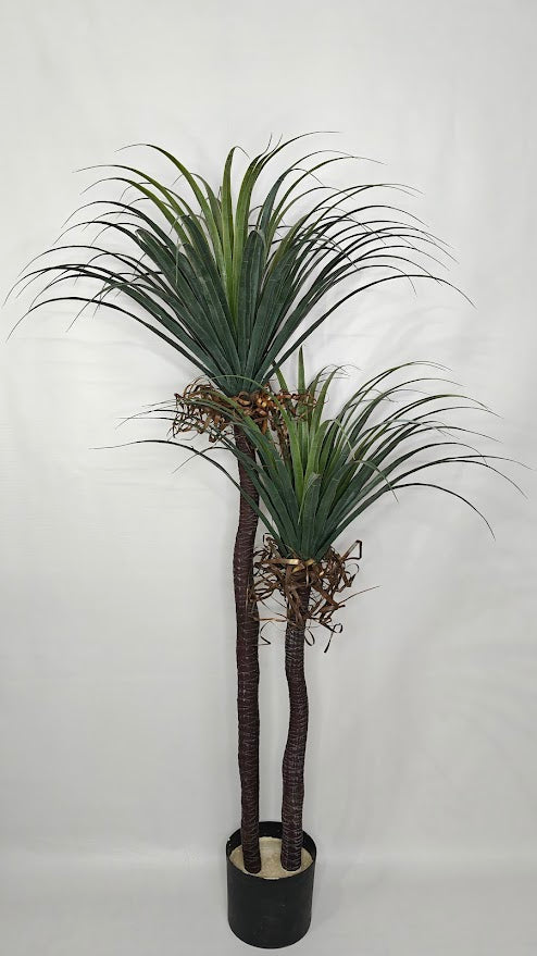 Artificial Yucca Plant - 165cm without pot