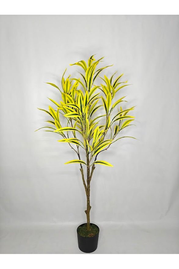 Artificial Dracaena Plant - 120cm with basic black pot