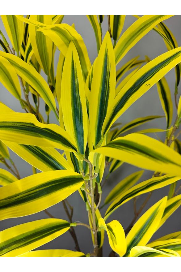 Artificial Dracaena Plant - 120cm with basic black pot