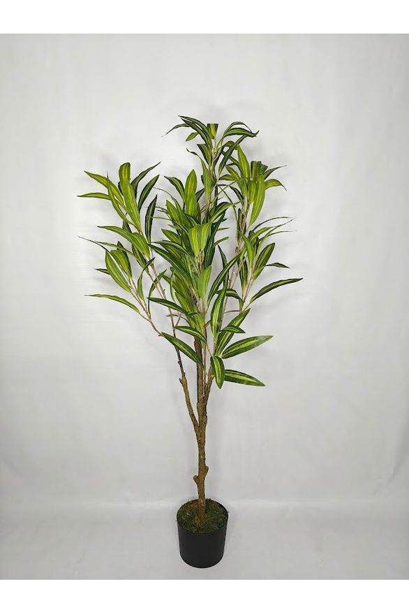 Artificial Dracaena Plant - 120cm with basic black pot