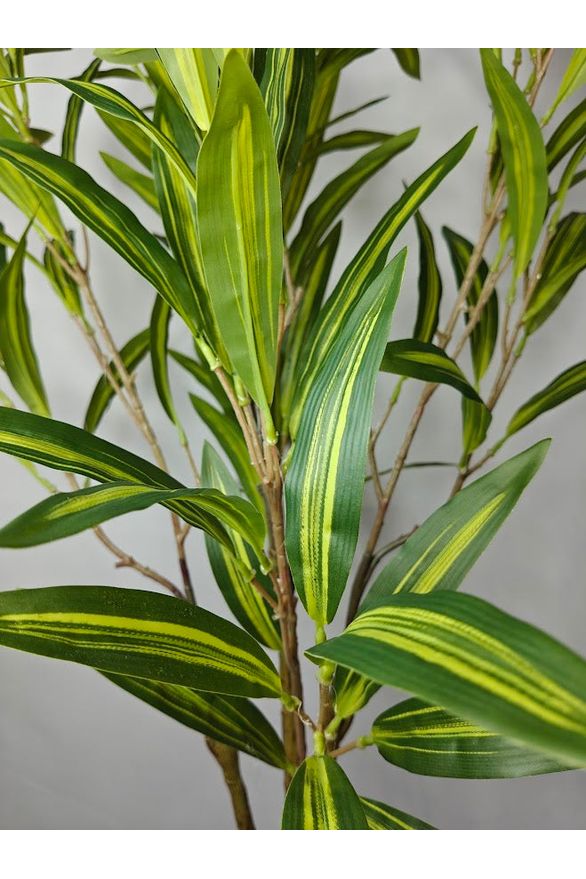 Artificial Dracaena Plant - 120cm with basic black pot