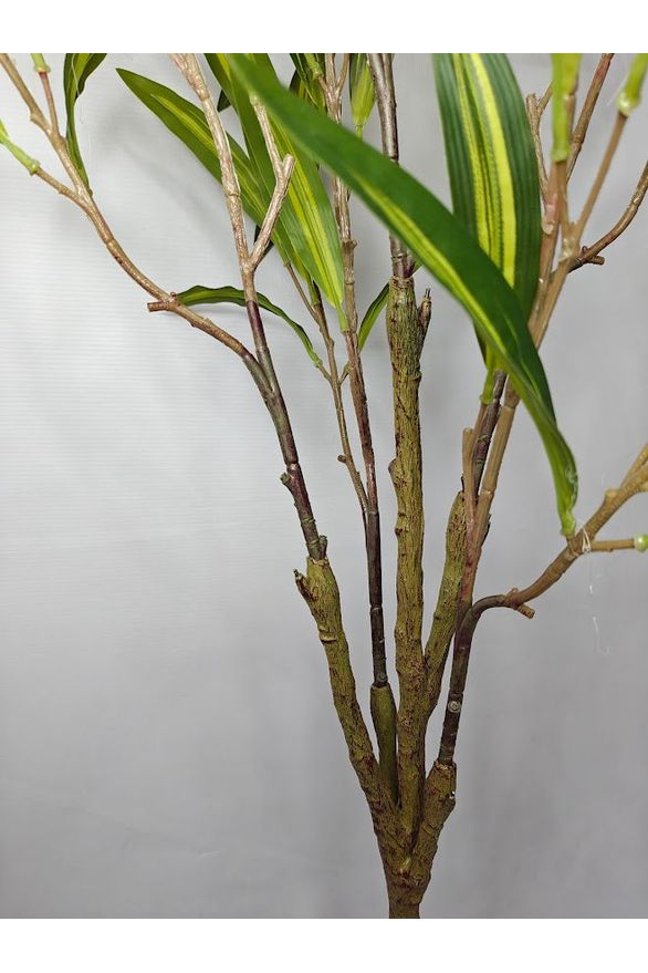 Artificial Dracaena Plant - 120cm with basic black pot