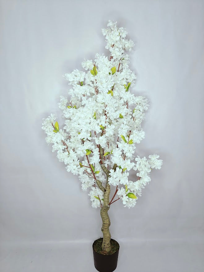 Artificial White Cherry Blossom Plant - 120cm with basic black pot