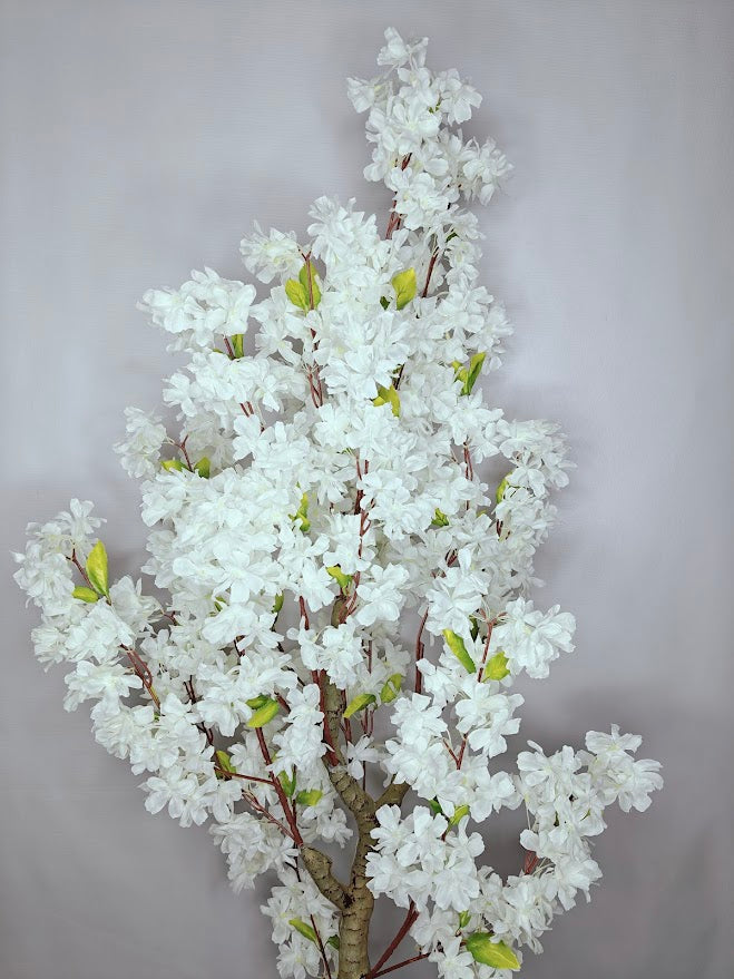 Artificial White Cherry Blossom Plant - 120cm with basic black pot