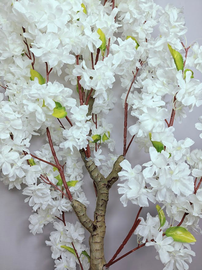 Artificial White Cherry Blossom Plant - 120cm with basic black pot