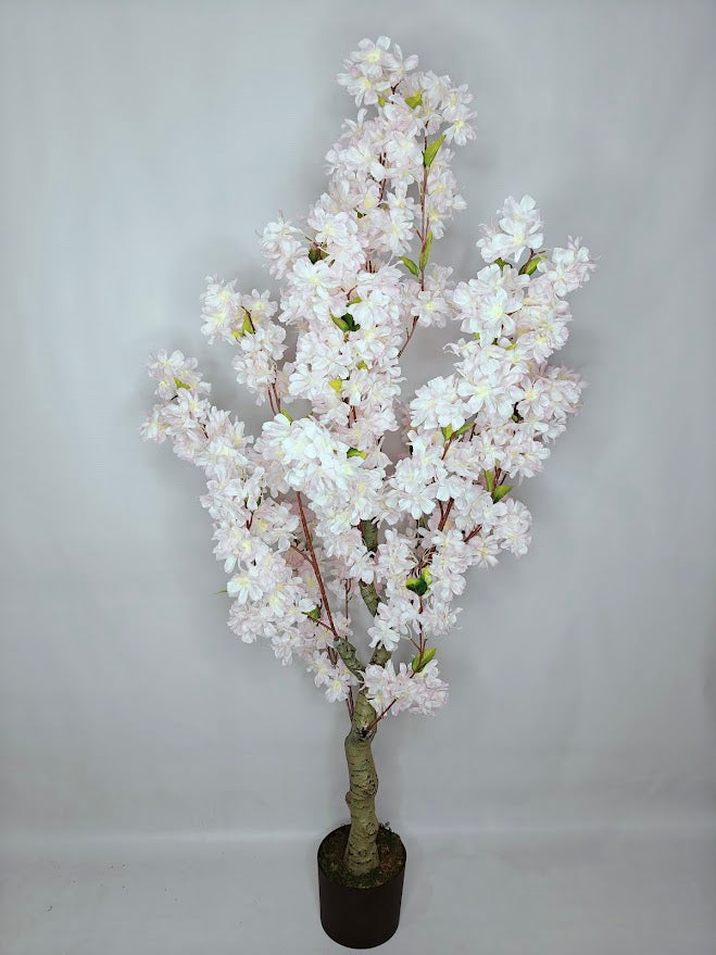 Artificial Light pink Cherry Blossom Plant - 120cm with basic black pot
