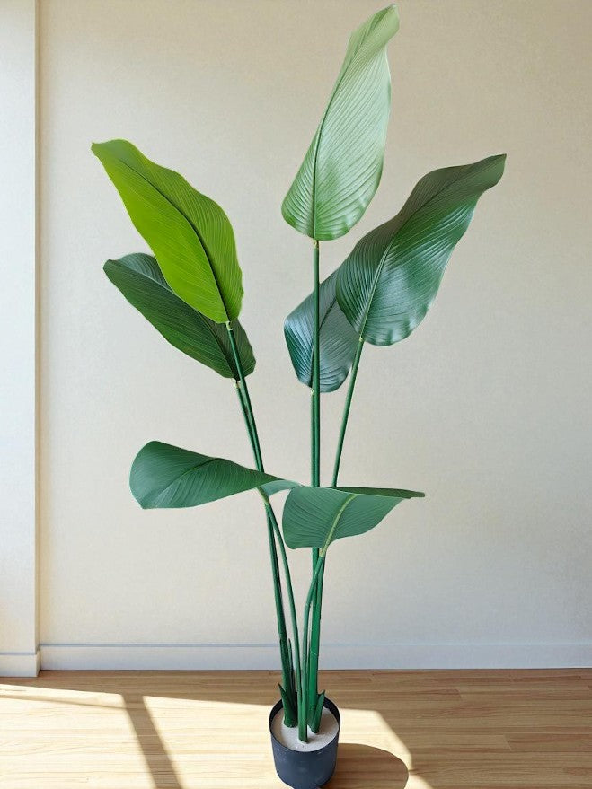 Artificial Calathea palm Plant - 150cm with basic black pot